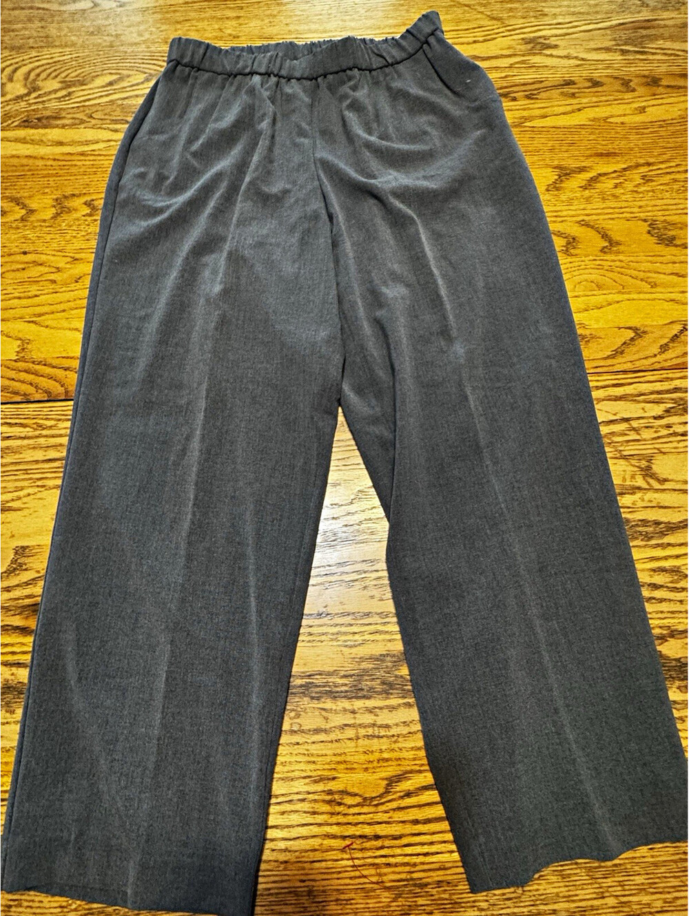 Sag Harbor Womens Plus 16W Gray Dress Pants Pull On Elastic Stretch Pleated NWT